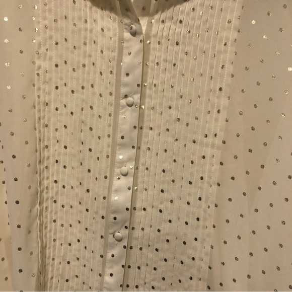 Zara Sheer Polka Dot Blouse - Picture 6 of 9